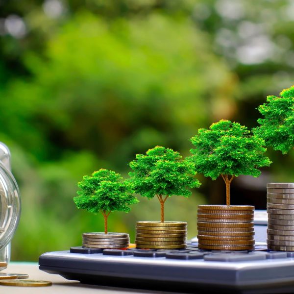 Bilancio di sostenibilità 2024